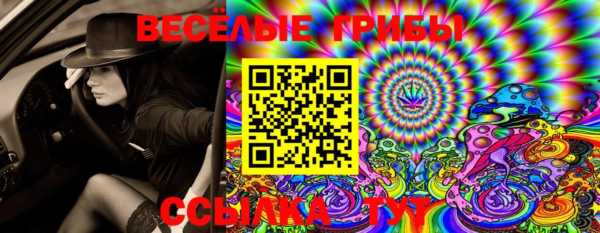 Воронеж  Псилоцибиновые грибы Psilocybine cubensis  Вход с VPN 
